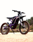 X 10 Purple Voliet